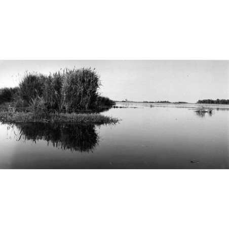 "Jez. Wigry - fragment przy wejściu Cz. Hańczy 262"