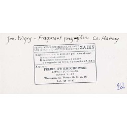 "Jez. Wigry - fragment przy wejściu Cz. Hańczy 262"