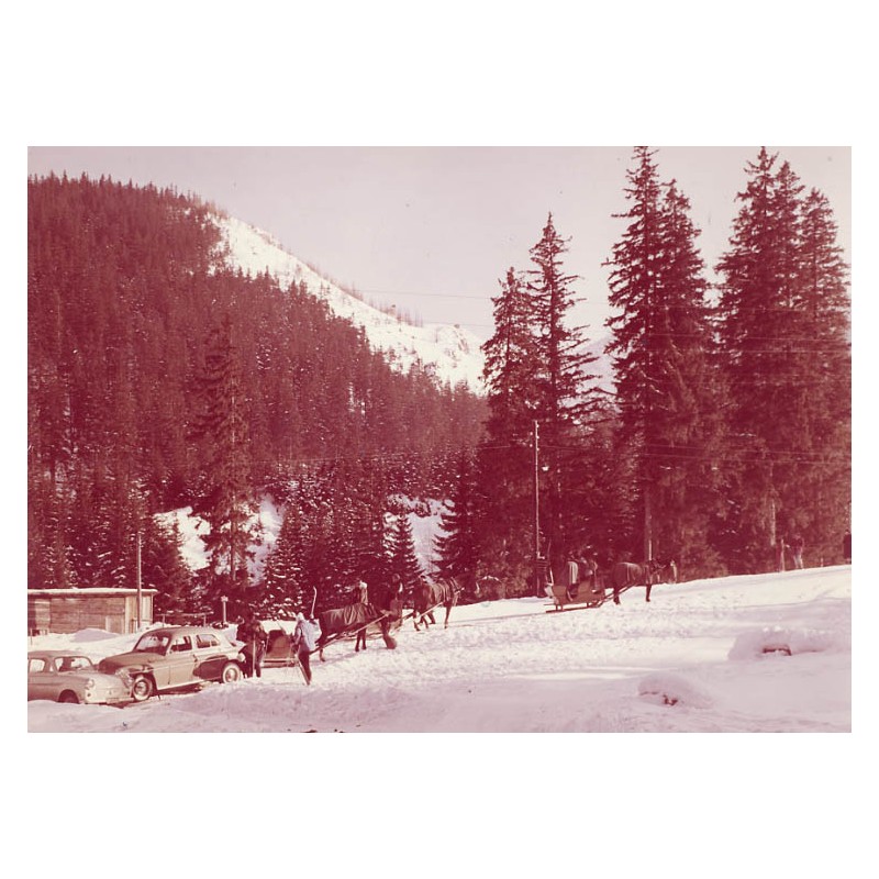 "Zakopane - Fragment z okolic Kuźnic 26-2725 2530-24 K50932"