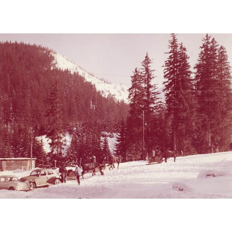 "Zakopane - Fragment z okolic Kuźnic 26-2725 2530-24 K50932"
