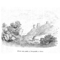 "Widok ruin zamku w Nowogrodku w Litwie."