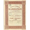 Fabryka sztucznego jedwabiu w Myszkowie. Akcja bez oznaczonej wartości 1924 / "SOCIÉTÉ ANONYME de Soie Artificielle de Myszków.