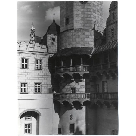 Oleśnica. Zamek