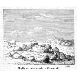 "Mogiły na cmentarzysku w Czekanowie. (2721)"