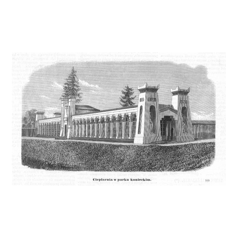 "Cieplarnia w parku konieckim. 105"