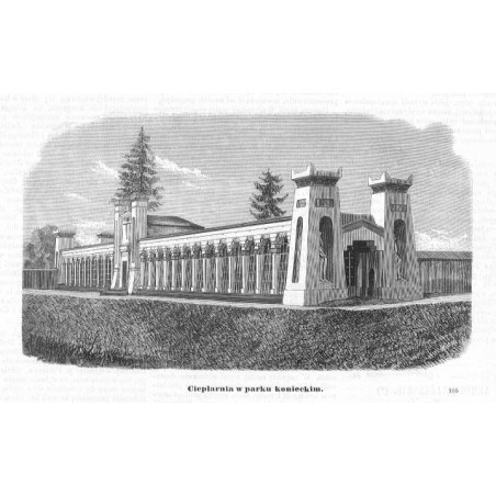 "Cieplarnia w parku konieckim. 105"