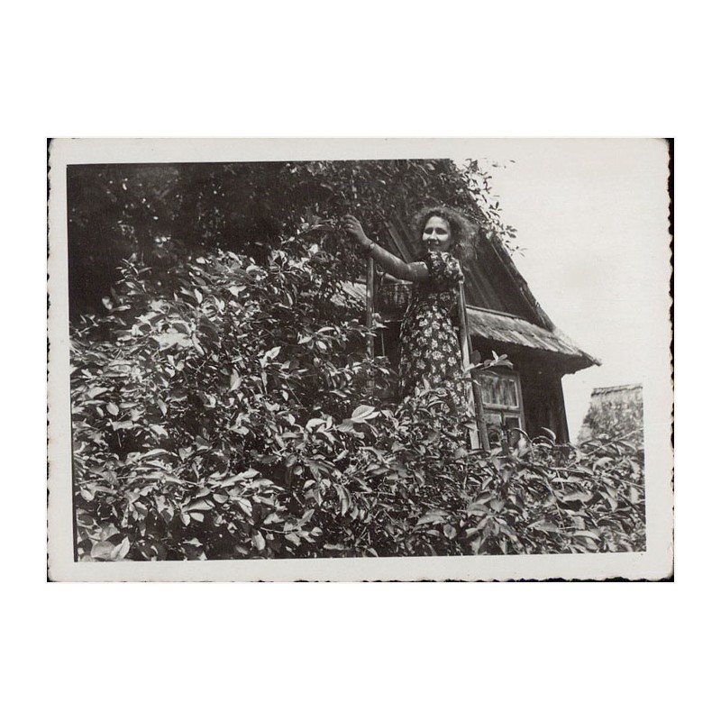 "Bukowno-wieś lato 1939 r. [...]"