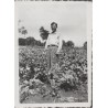 "Bukowno-wieś lato 1939 r. [...]"