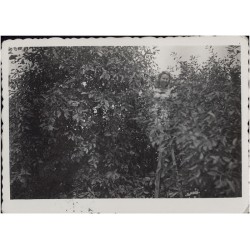 "Bukowno-wieś lato 1939 r. [...]"