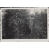 "Bukowno-wieś lato 1939 r. [...]"