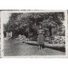 "Bukowno-wieś lato 1939 r. [...]"