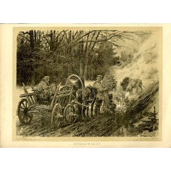 Spotkanie w drodze Puszcza Białowieska / "SPOTKANIE W DRODZE."