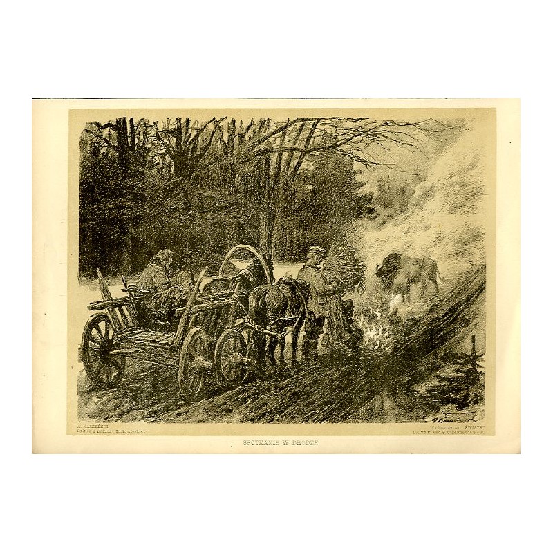 Spotkanie w drodze Puszcza Białowieska / "SPOTKANIE W DRODZE."