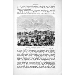 "Eckernförde. Innerer Hafen. Abteilung für Fischerboote."