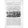 "Eckernförde. Innerer Hafen. Abteilung für Fischerboote."