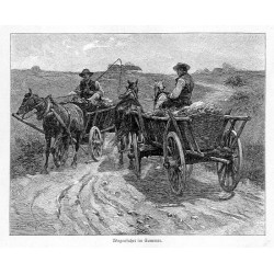 "Wagenfahrt im Sommer."