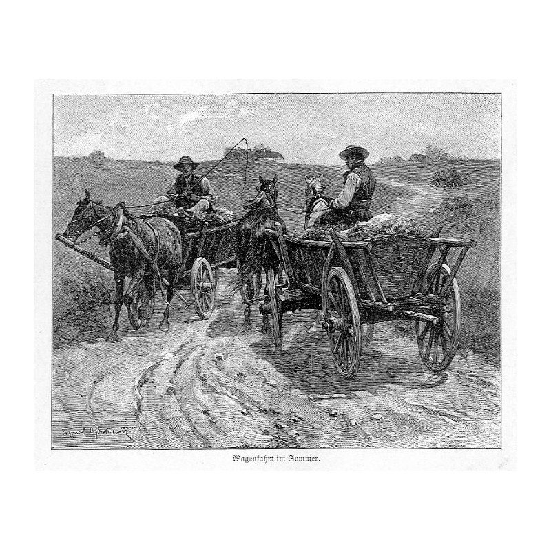 "Wagenfahrt im Sommer."