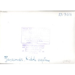 "Jaszowiec. Widok ogólny 23-3616"