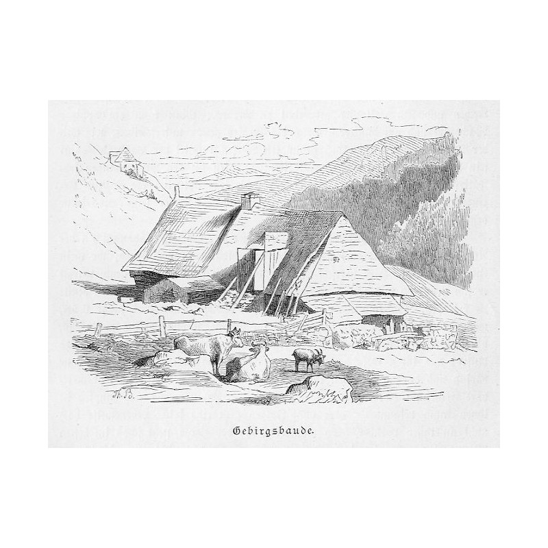 "Gebirgsbaude."