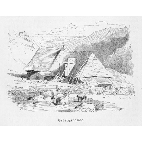 "Gebirgsbaude."