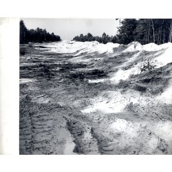 Budowa Magistrali Zachodniej PMP-PW (okolice Gliwic) ?