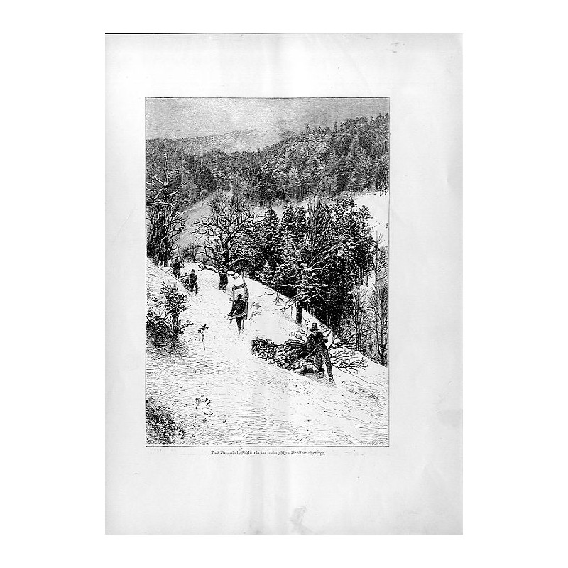 "Das Brennholz-Schlitteln im walachischen Beskiden-Gebirge."