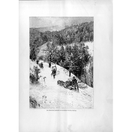 "Das Brennholz-Schlitteln im walachischen Beskiden-Gebirge."