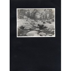 "27. BAŚŃ ZIMOWA."