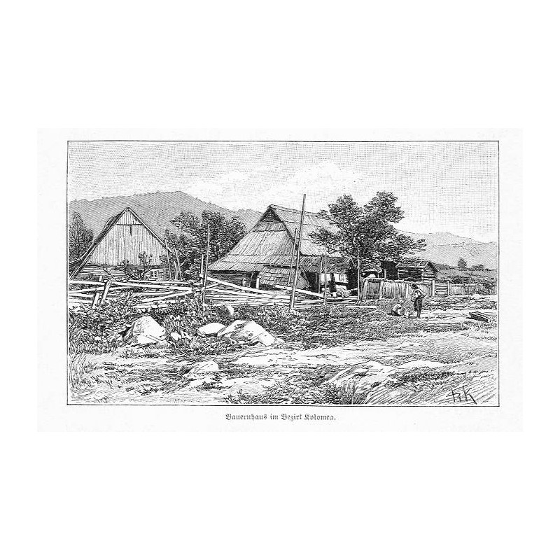 "Bauernhaus in Bezirk Kołomea."