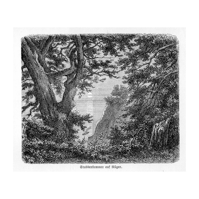 "Stubbenkammer aus Rügen."