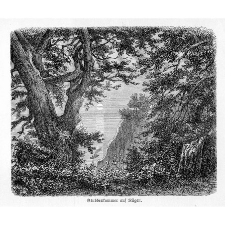 "Stubbenkammer aus Rügen."