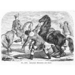 "Nr. 2987. Galizischer Edelmann und Bauer."