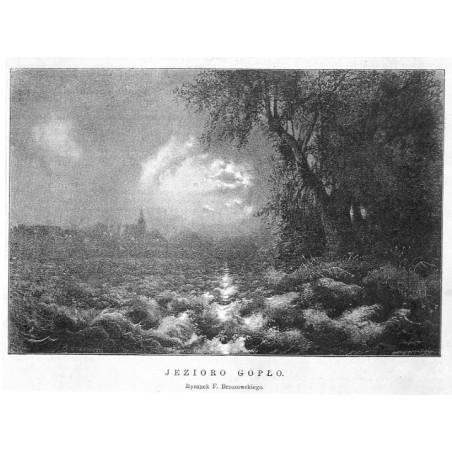 Jezioro Gopło. Rysunek F. Brzozowskiego / "JEZIORO GOPŁO. Rysunek F. Brzozowskiego."