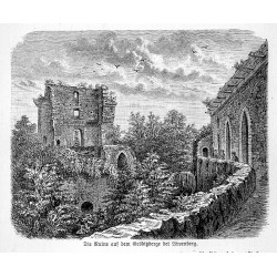 "Die Ruine aus dem Gröditzberge bei Löwenberg."