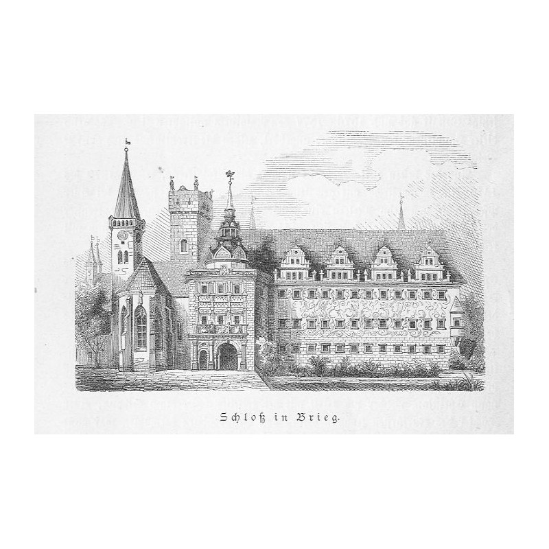 "Schloß in Brieg."