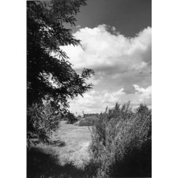 "POZNAŃSKIE - Krajobraz w kierunku zespołu klasztornego w Lędzie B-11015 31-2539"