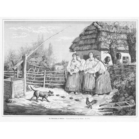 "St. Andreastag i Galizien. Originalzeichnung von Th. Rejchan. [...]"