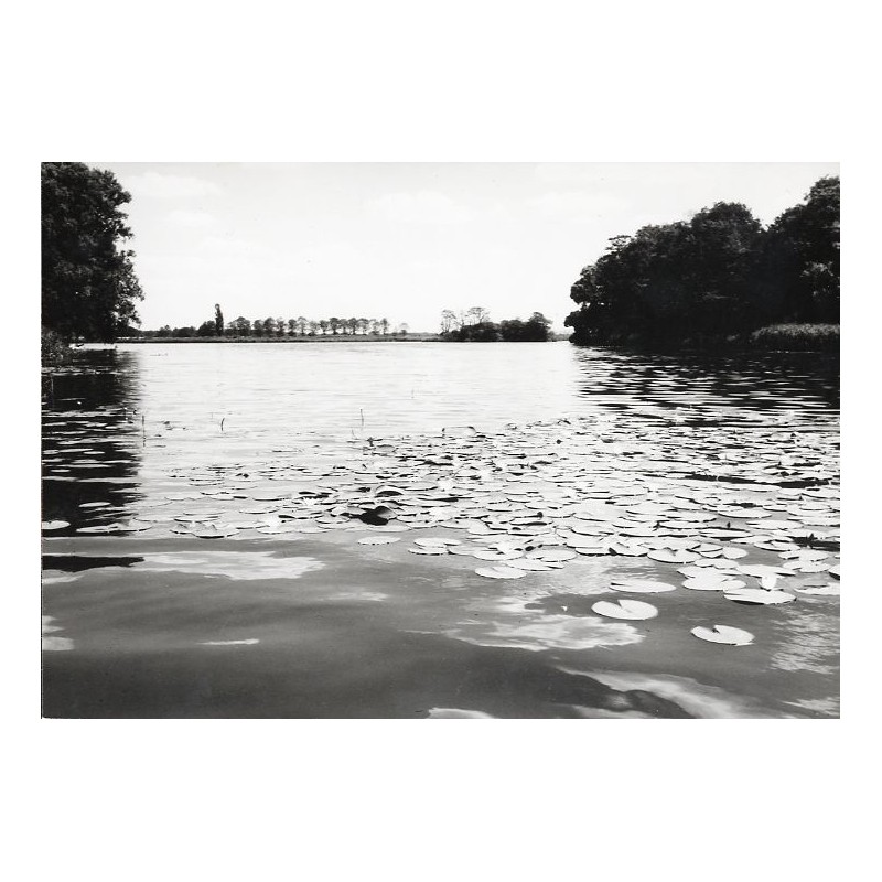 "Jez. Wonieckie fot. R. Reed 60-319 58129 barw."