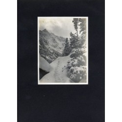 "24. Z KRAINY BAJKI."