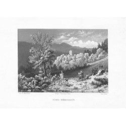 Ruine Nimmersatt / "RUINE NIMMERSATT."