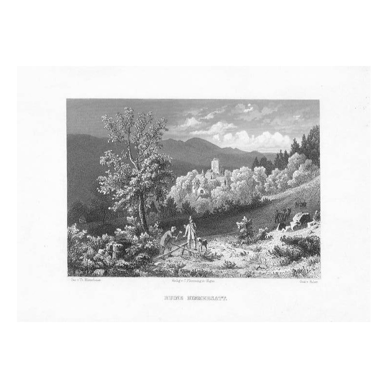 Ruine Nimmersatt / "RUINE NIMMERSATT."
