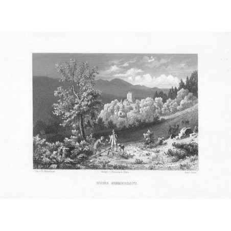 Ruine Nimmersatt / "RUINE NIMMERSATT."
