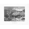 Ruine Nimmersatt / "RUINE NIMMERSATT."