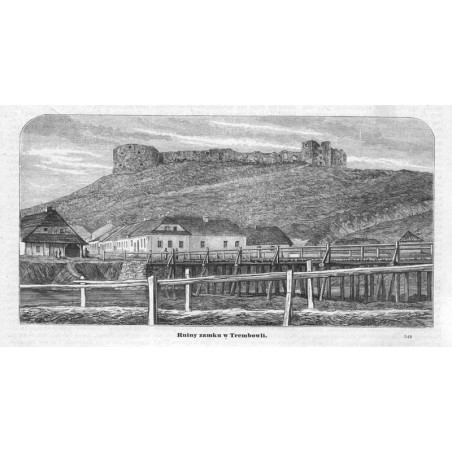 "Ruiny zamku w Trembowli. 548"