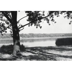 Swarzędz. Jezioro Swarzędzkie / "SWARZĘDZ JEZIORO SWARZĘDZKIE fot. S. ARCZYŃSKI 3530/15 31-3038 B-14515 KT 4/72"