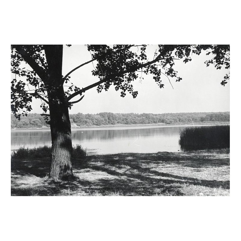 Swarzędz. Jezioro Swarzędzkie / "SWARZĘDZ JEZIORO SWARZĘDZKIE fot. S. ARCZYŃSKI 3530/15 31-3038 B-14515 KT 4/72"