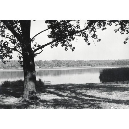 Swarzędz. Jezioro Swarzędzkie / "SWARZĘDZ JEZIORO SWARZĘDZKIE fot. S. ARCZYŃSKI 3530/15 31-3038 B-14515 KT 4/72"