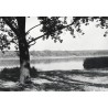 Swarzędz. Jezioro Swarzędzkie / "SWARZĘDZ JEZIORO SWARZĘDZKIE fot. S. ARCZYŃSKI 3530/15 31-3038 B-14515 KT 4/72"
