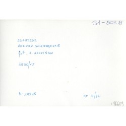 Swarzędz. Jezioro Swarzędzkie / "SWARZĘDZ JEZIORO SWARZĘDZKIE fot. S. ARCZYŃSKI 3530/15 31-3038 B-14515 KT 4/72"
