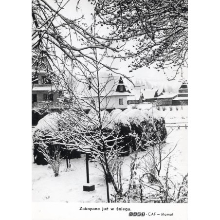 "Zakopane już w śniegu. KAW-CAF Momot"